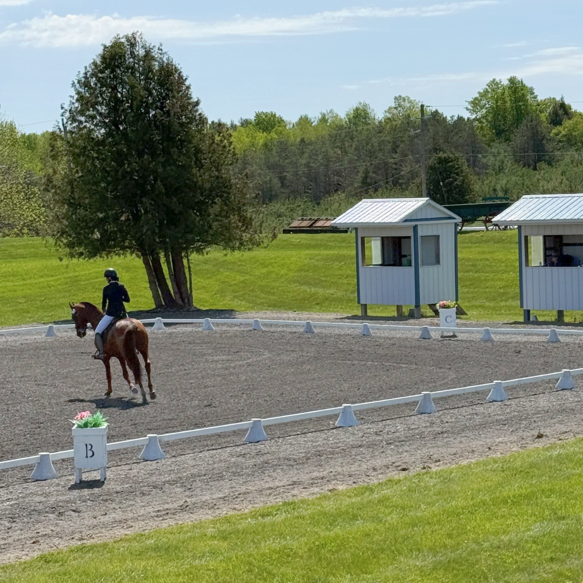 A rider works in the dressage arena near the judge's booth marked C.