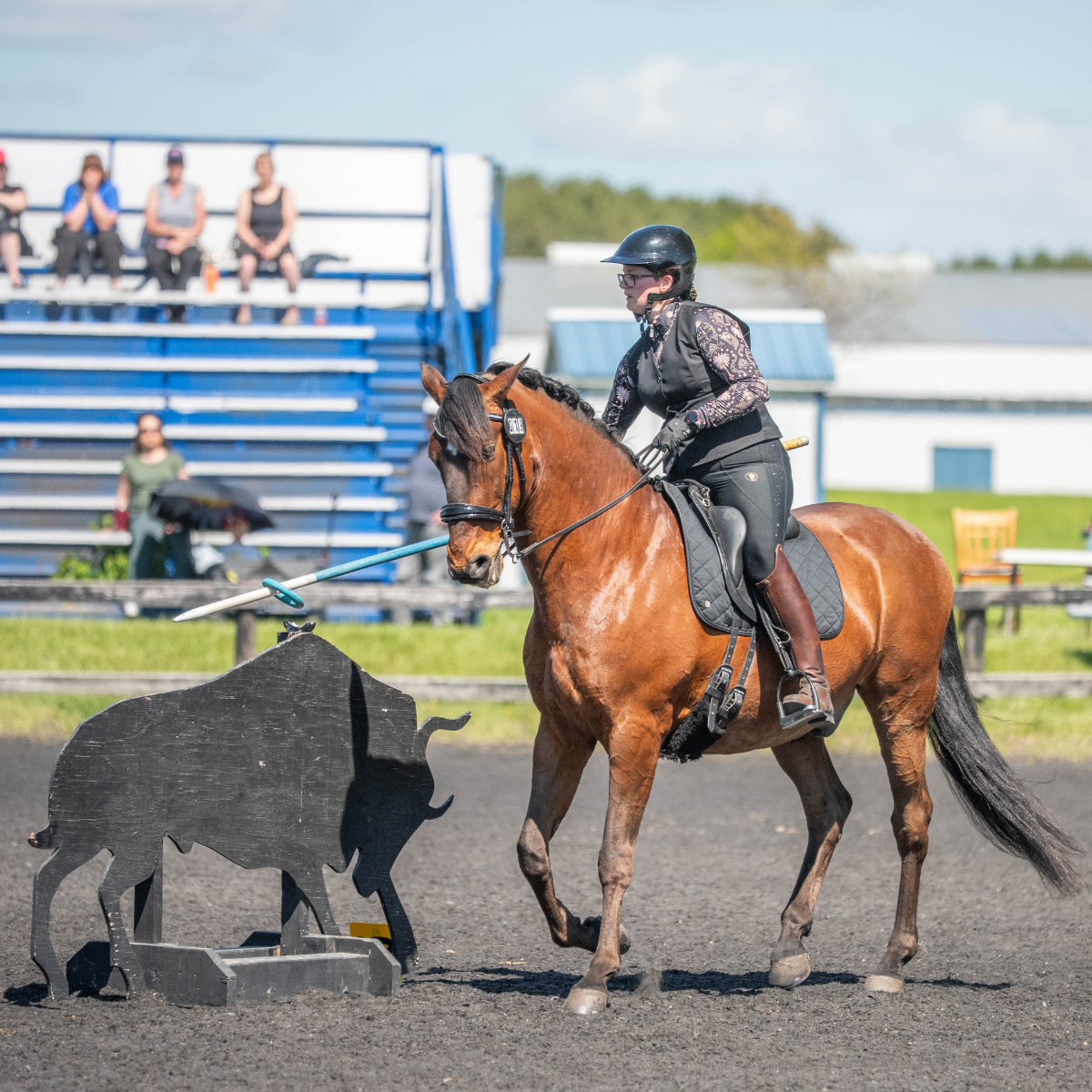 A rider on course approaches a bull cutout obstacle with a lance at a working equitation show.