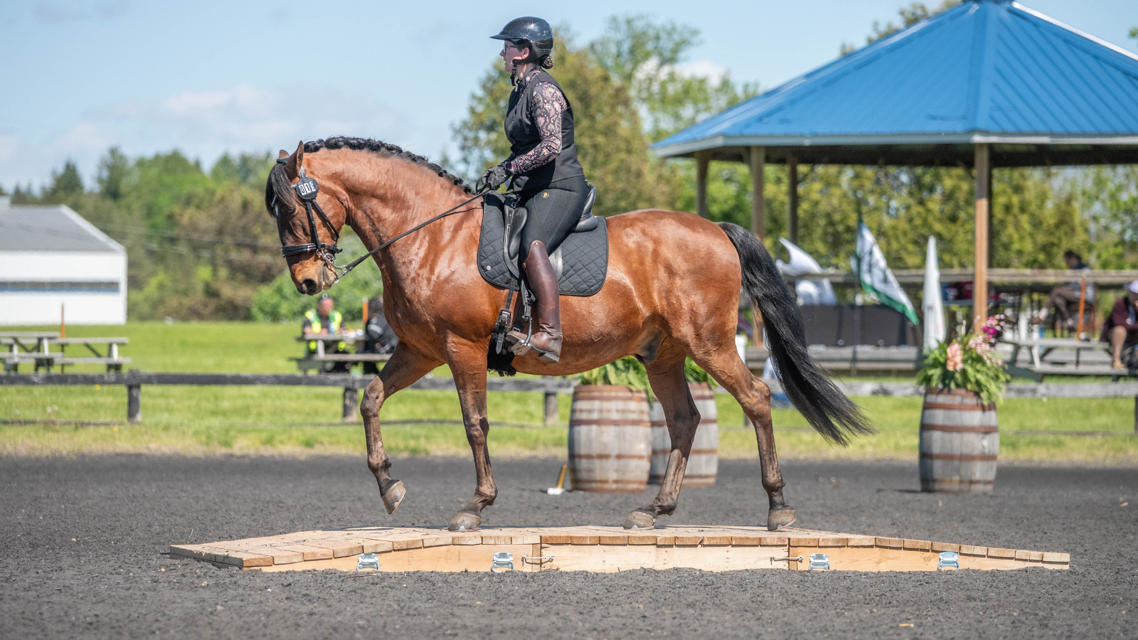 A rider on course crosses a wooden bridge obstacle at a working equitation show.