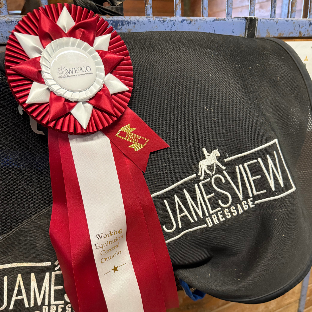 A red and white first-place ribbon from a working equitation show draped over a Jamesview Dressage saddle pad.